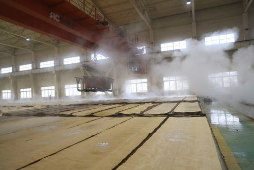 撫州臨川區(qū) 開(kāi)足馬力忙生產(chǎn) 跑好開(kāi)年 第一棒